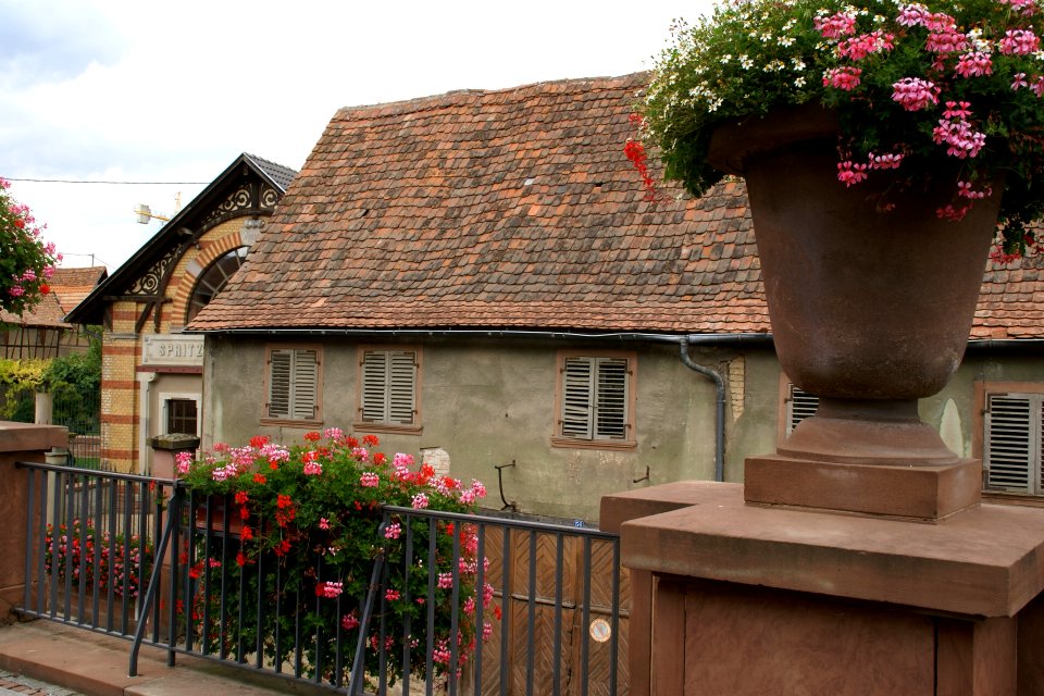 2011.09.17.140016_Rue_Principale_Bischoffsheim