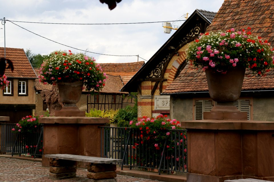 2011.09.17.135955_Rue_Principale_Bischoffsheim