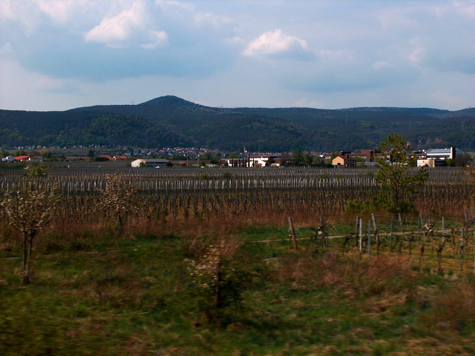 20110414Weinstrasse