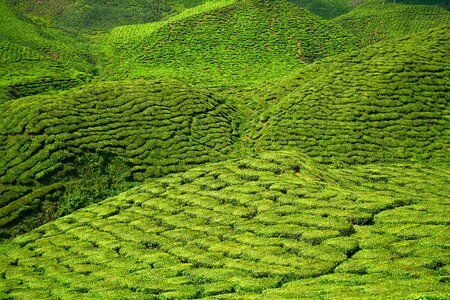 Landscape nature peace
