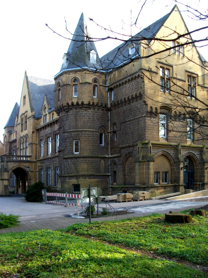 20110406Halberg04