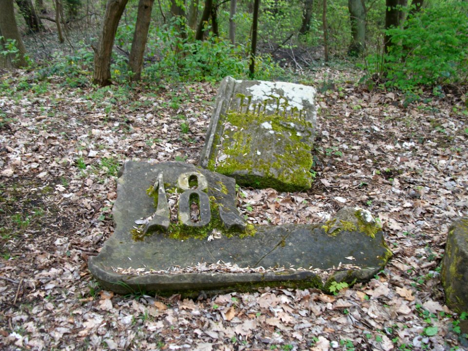 20110405Winterbergdenkmal05