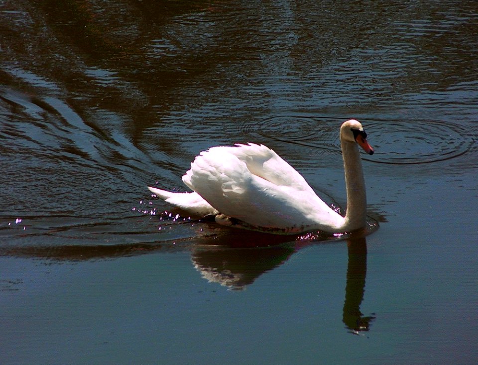20110418Osthafen_Saarbruecken2
