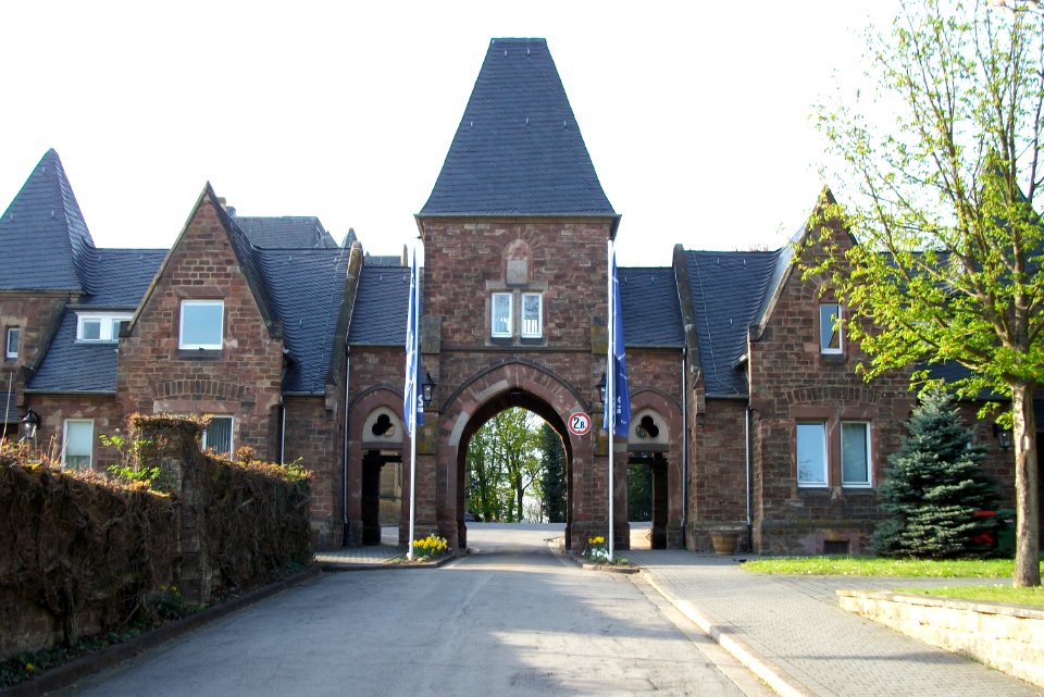 20110406Halberg01