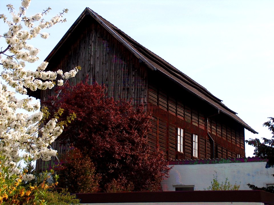 20110411Tabakscheune_Hockenheim3