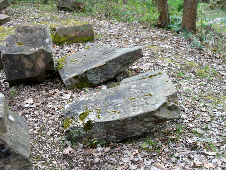 20110405Winterbergdenkmal08