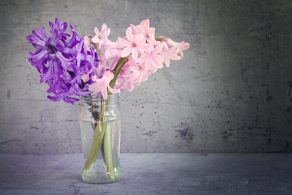 Glass fragrant flowers schnittblume photo