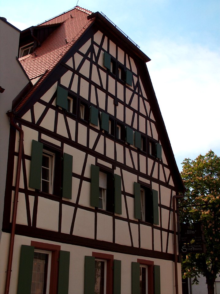 20110424Schloss_Walldorf4