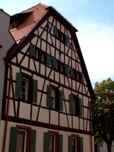 20110424Schloss_Walldorf4