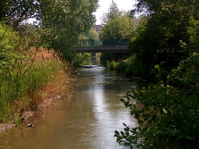 20110428Kraichbach