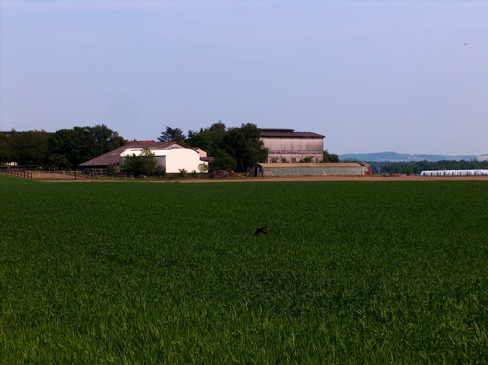 20110424Reilingen1