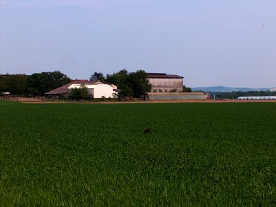20110424Reilingen1