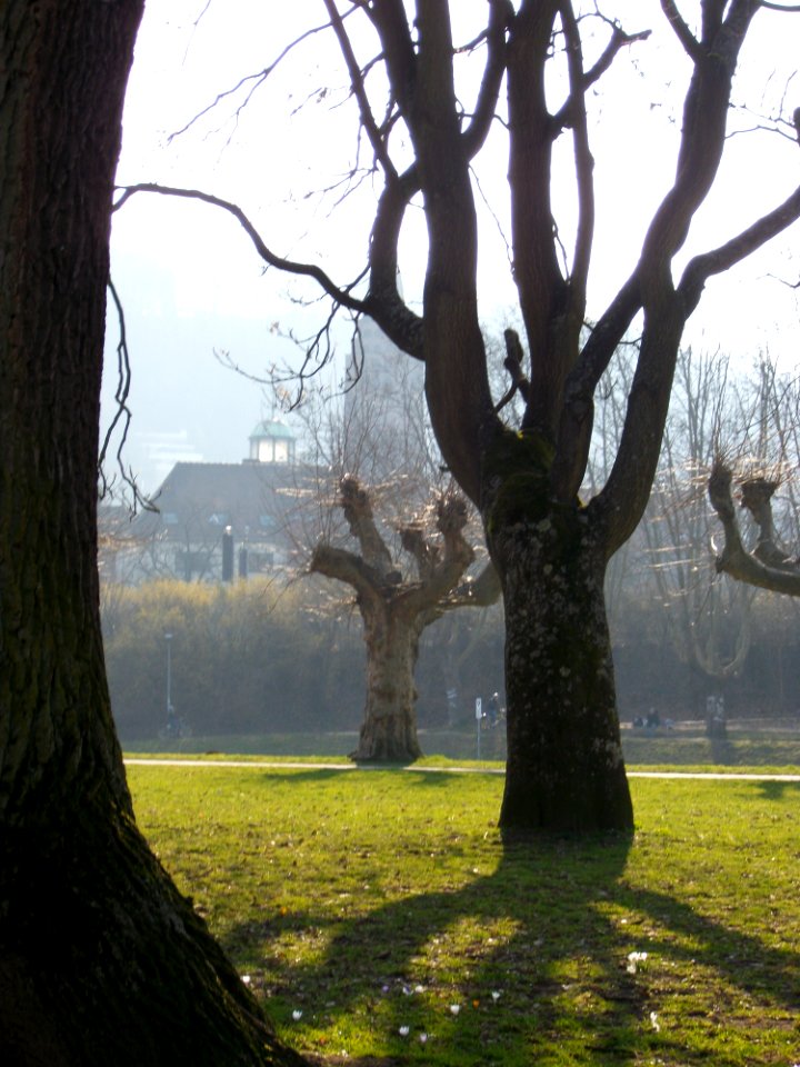 20110305Staden03