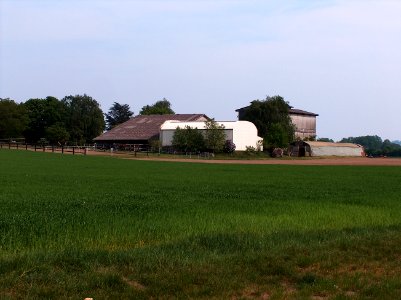 20110424Reilingen2