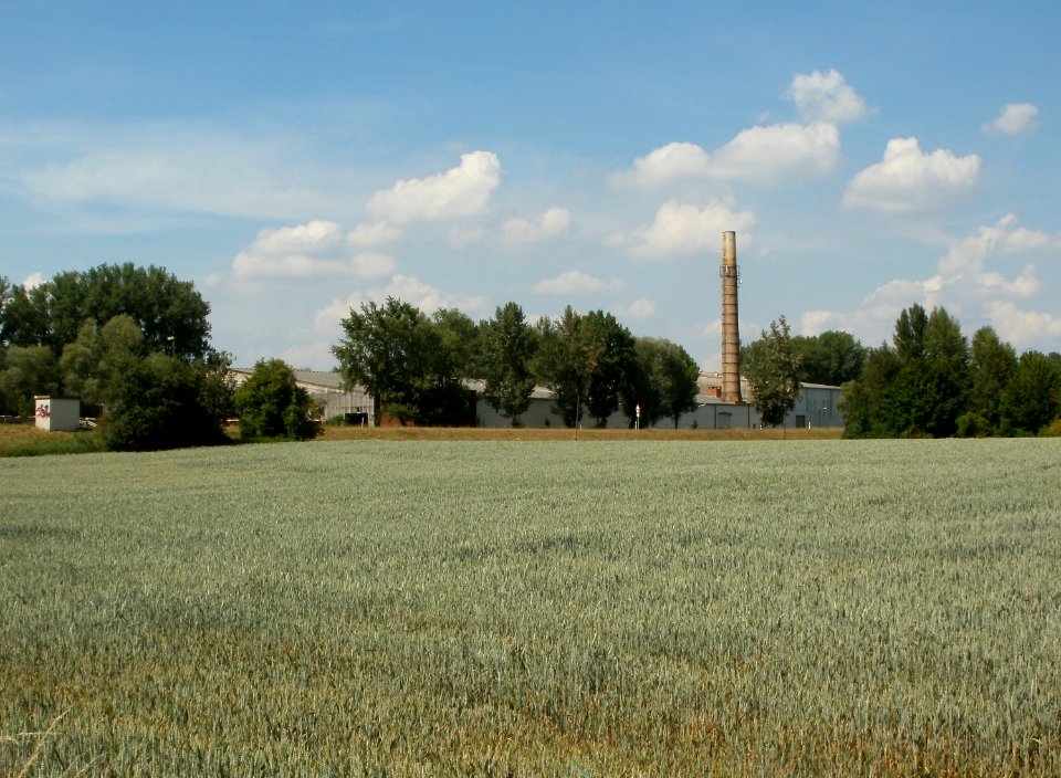 20110607Herrenteich_Hockenheim