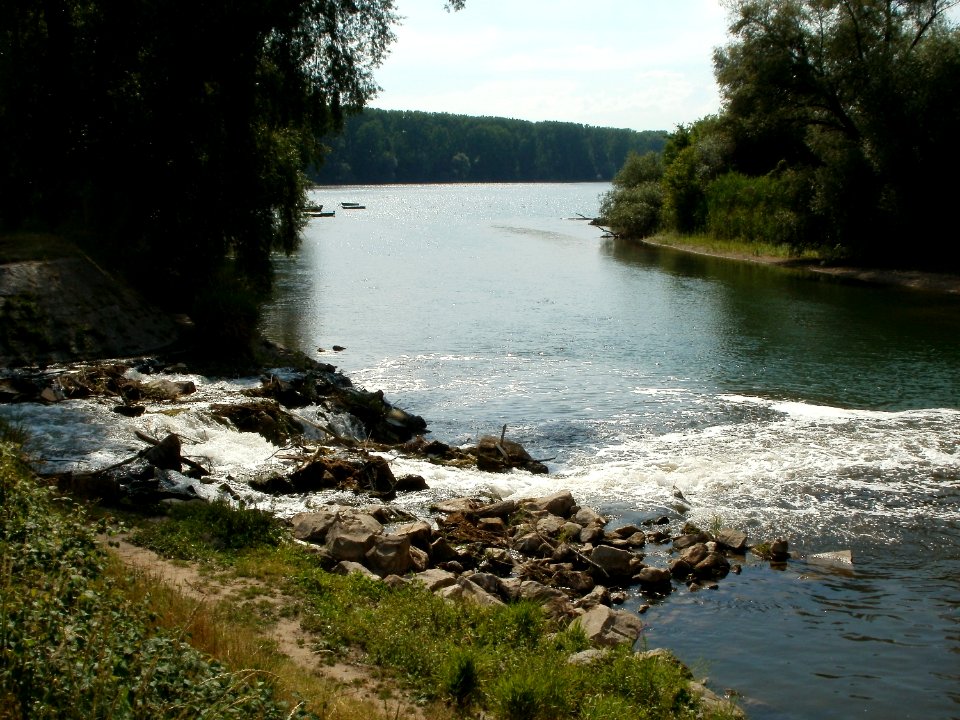 20110607Kraichbachmuendung_Ketsch2