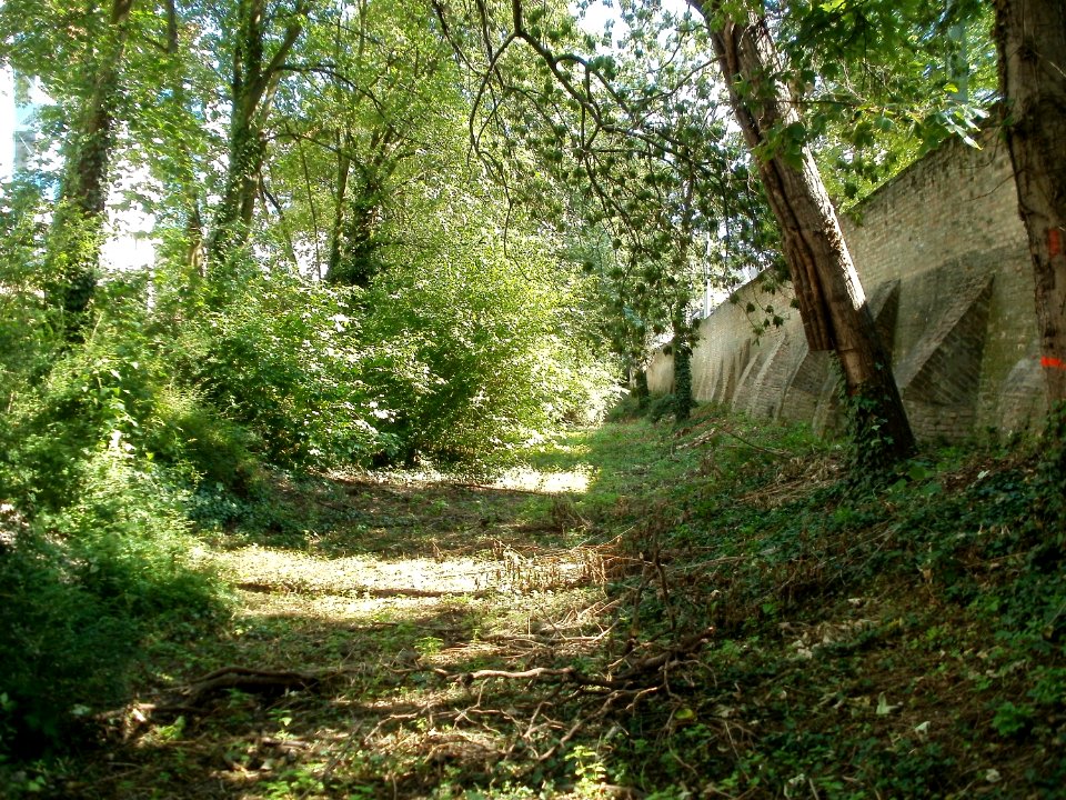 20110611Postgraben_Speyer5