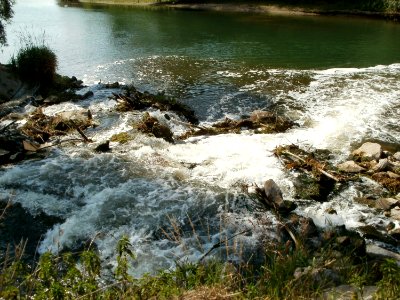 20110607Kraichbachmuendung_Ketsch3