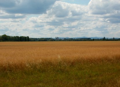 20110611Speyerblick