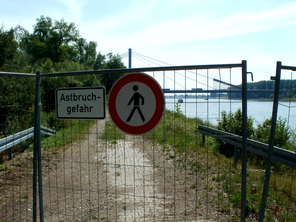 20110607Rheinbruecke_A61_Speyer_4