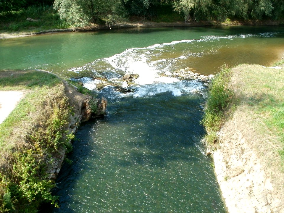 20110607Kraichbachmuendung_Ketsch1