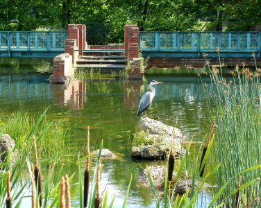20110618Buergerpark_Saarbruecken3
