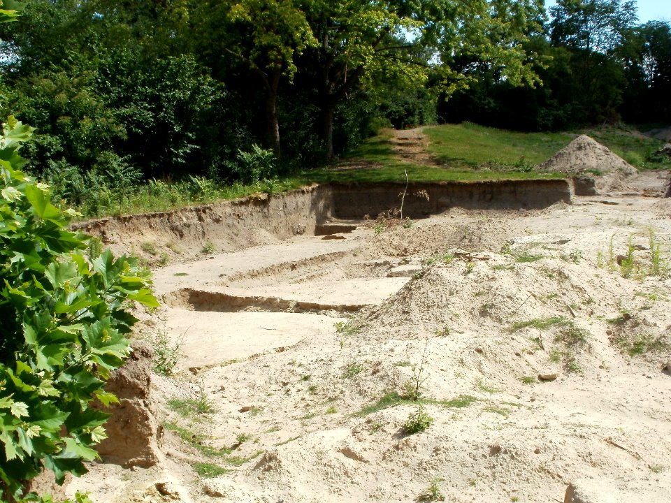 20110611Ausgrabung_Speyer1