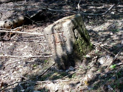 20110602Urwald_im_Steinbachtal03