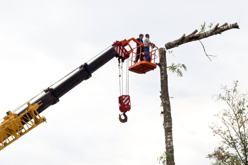 Chainsaw on high working