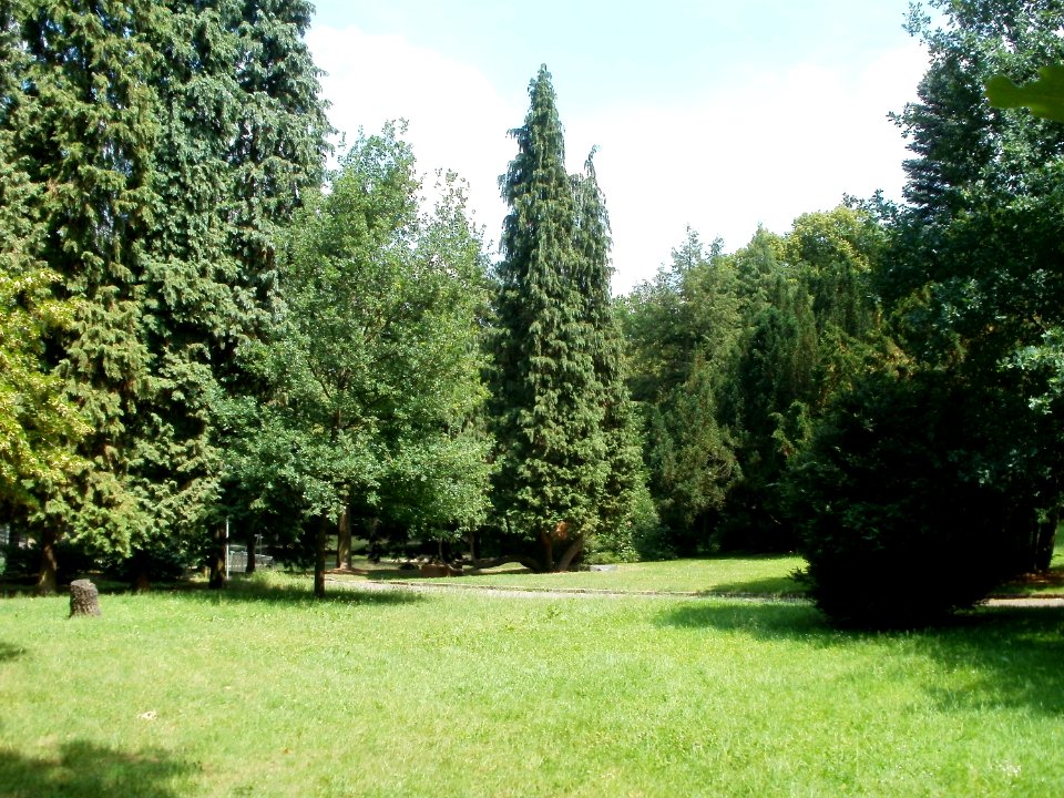 20110605Alter_Friedhof_Alt-Saarbruecken2