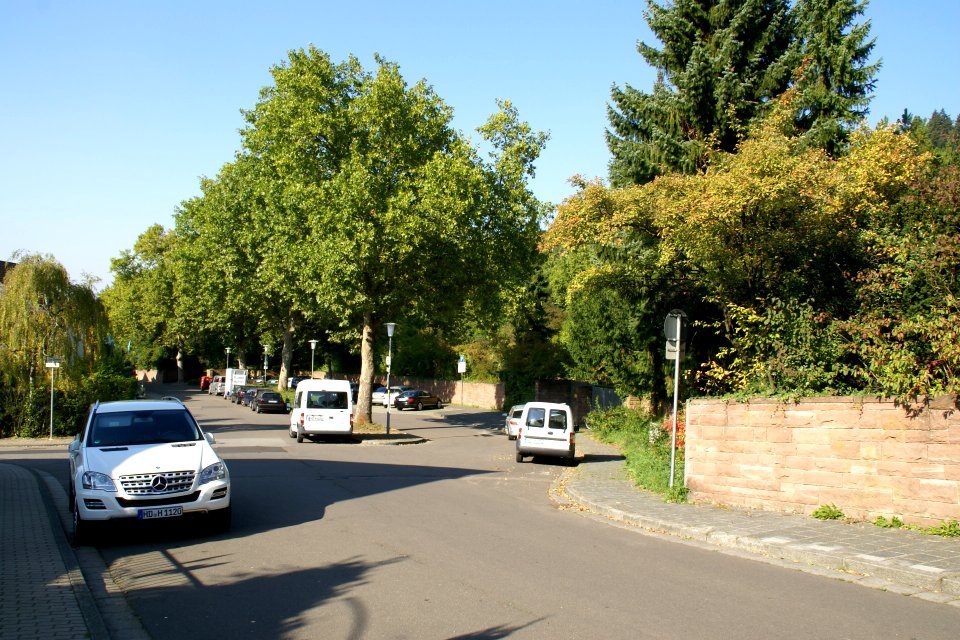 2011.09.25.155155_Friedhof_Handschuhsheim_Heidelberg