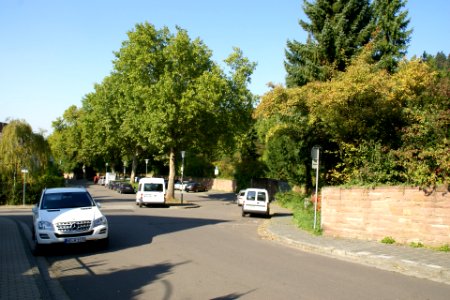 2011.09.25.155155_Friedhof_Handschuhsheim_Heidelberg