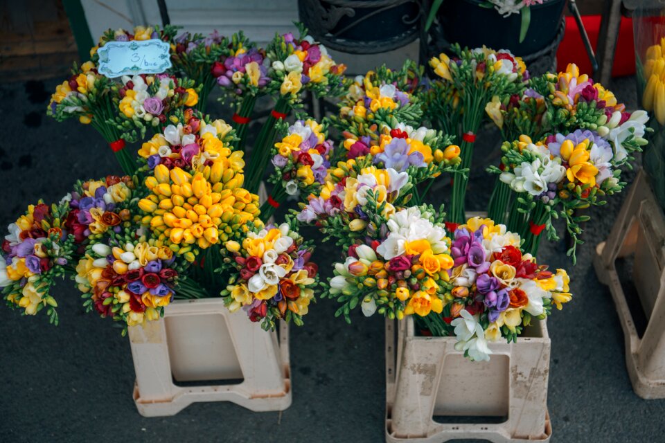 Flower bouquet flowers bouquet floral