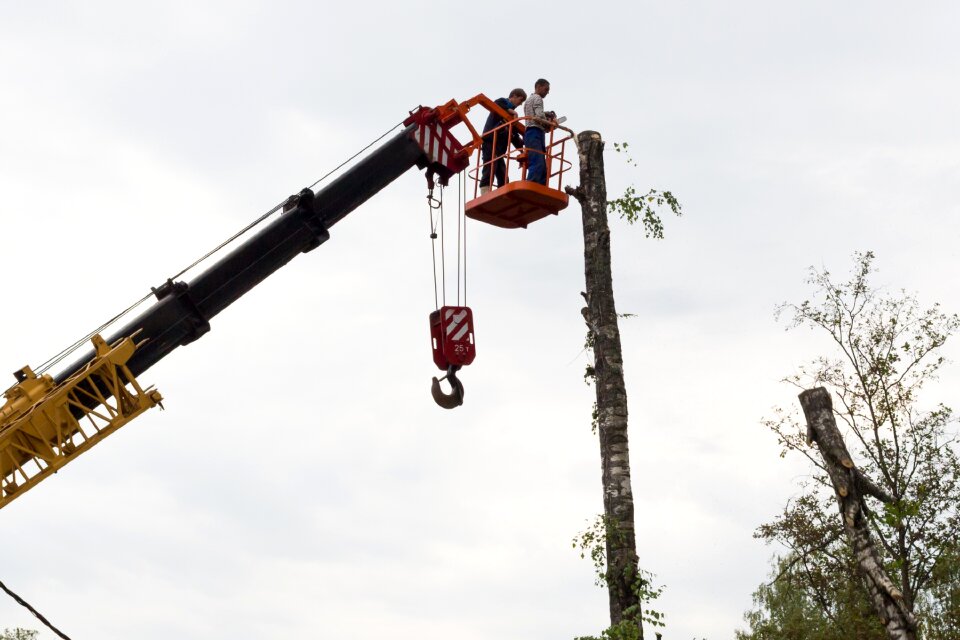 Chainsaw on high working