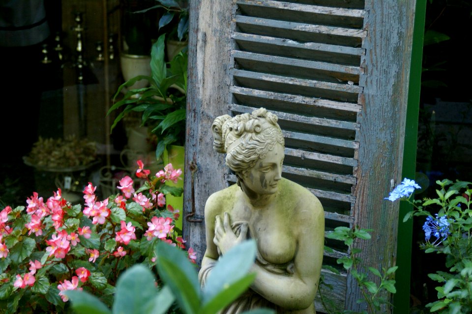 2011.09.25.154902_Stilleben_Zum_Steinberg_Handschuhsheim_Heidelberg