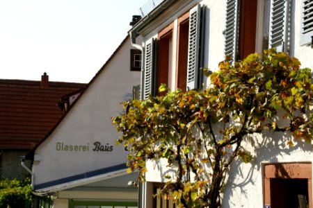 2011.09.25.161313_Amselgasse_Handschuhsheim_Heidelberg