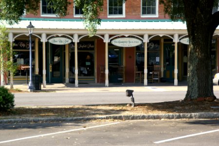 2011.05.21.075912_Café_E_Broad_St._Eufaula_Alabama_USA