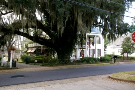 2011.02.18.165007_Washington_St._Bainbridge_Georgia