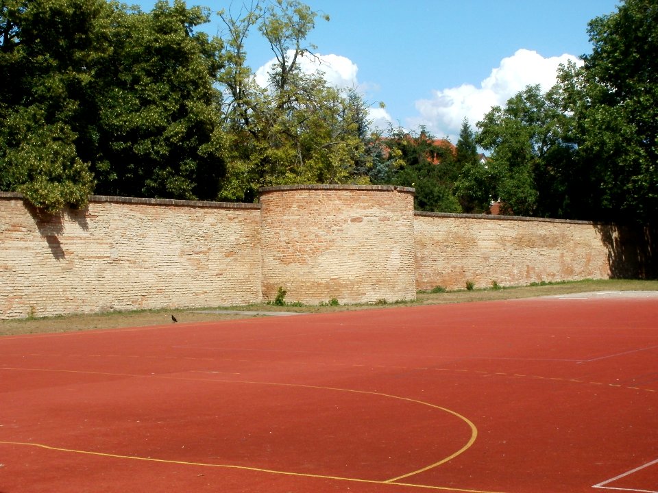 20110611Stadtmauer_Hilgradstr_Speyer4