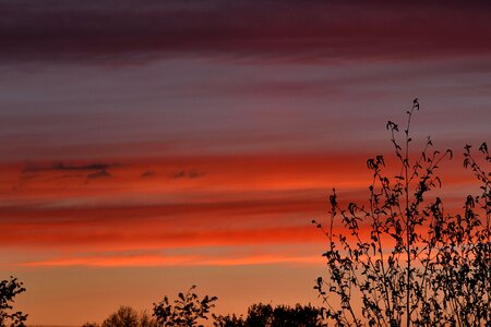 Sunset orange sky colors photo