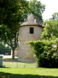 20110611Stadtmauer_Hilgradstr_Speyer1