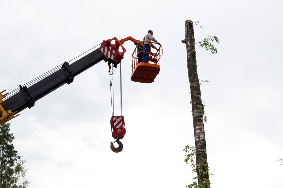 Chainsaw on high working