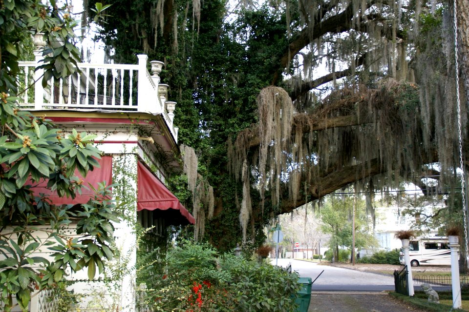 2011.02.18.164858_Washington_St._Bainbridge_Georgia