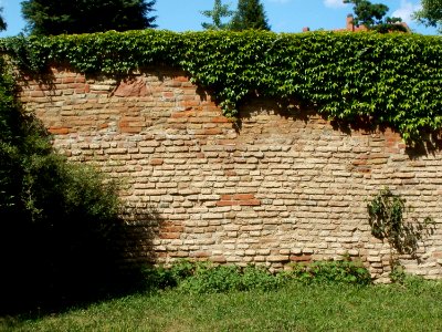 20110611Stadtmauer_Hilgradstr_Speyer3
