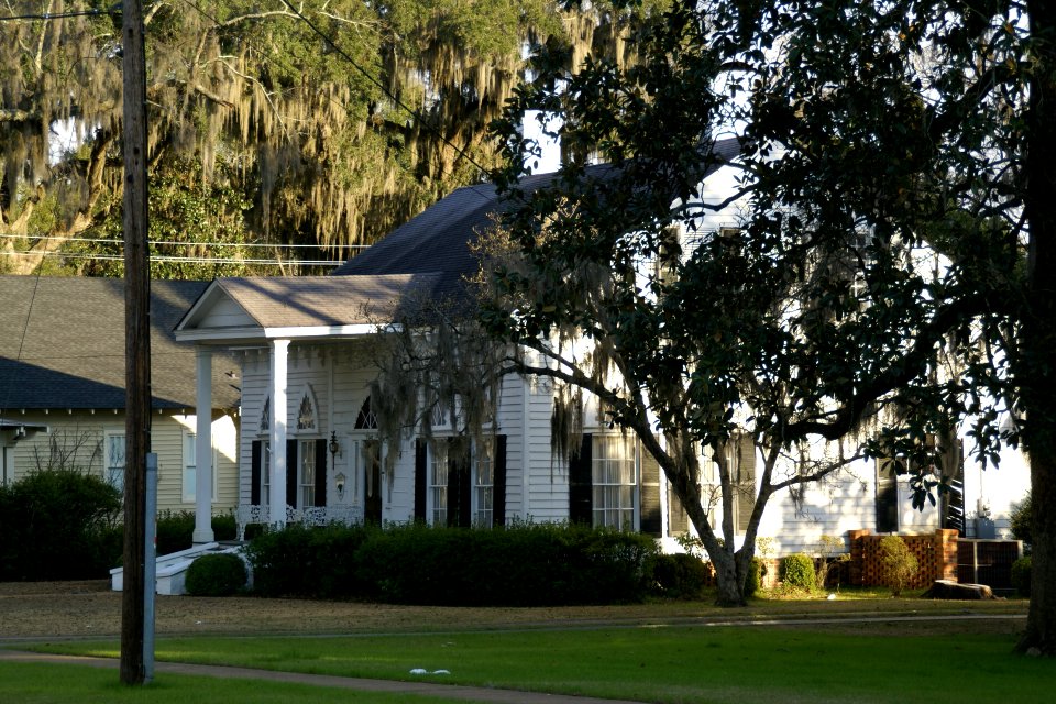 2011.02.18.171959_Shotwell_Street_Bainbridge_Georgia