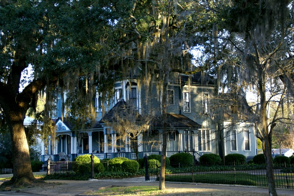 2011.02.18.172541_Shotwell_Street_Bainbridge_Georgia