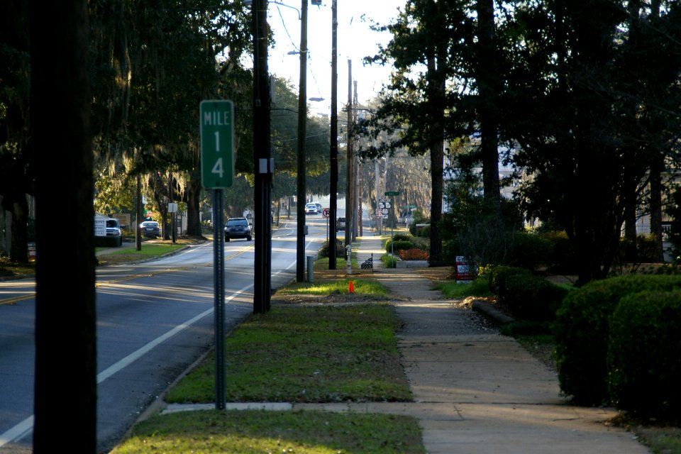 2011.02.18.172718_Shotwell_Street_Bainbridge_Georgia