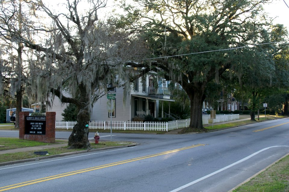 2011.02.18.172828_Shotwell_Street_Bainbridge_Georgia