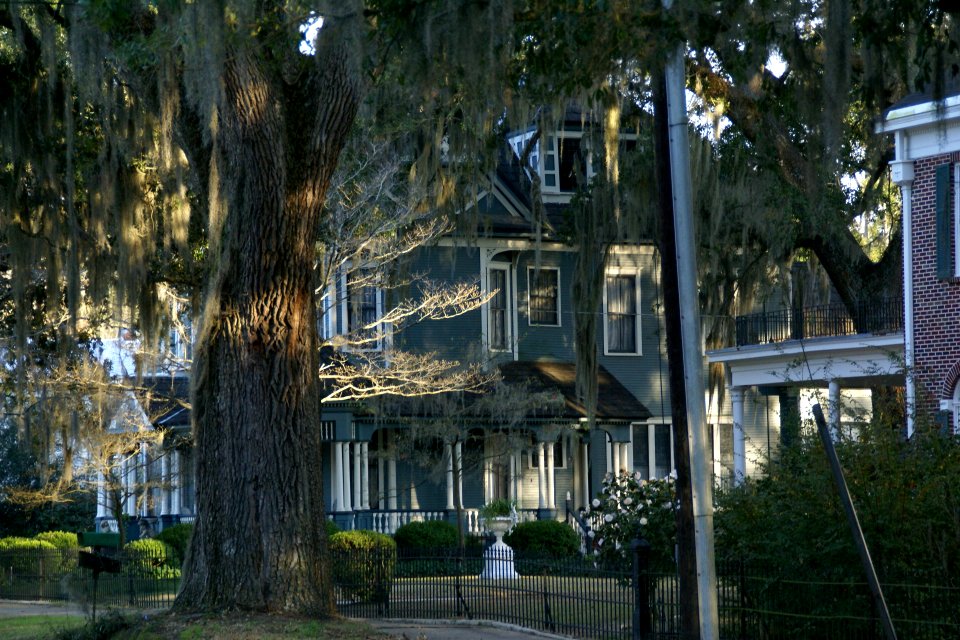 2011.02.18.172459_Shotwell_Street_Bainbridge_Georgia