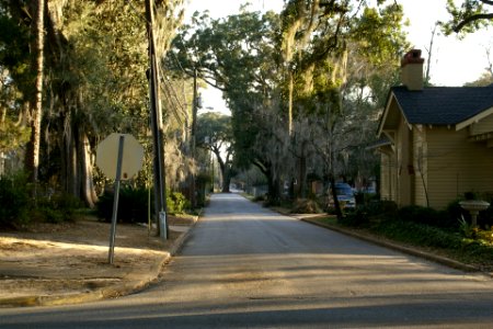 2011.02.18.172246_Hall_Street_Bainbridge_Georgia